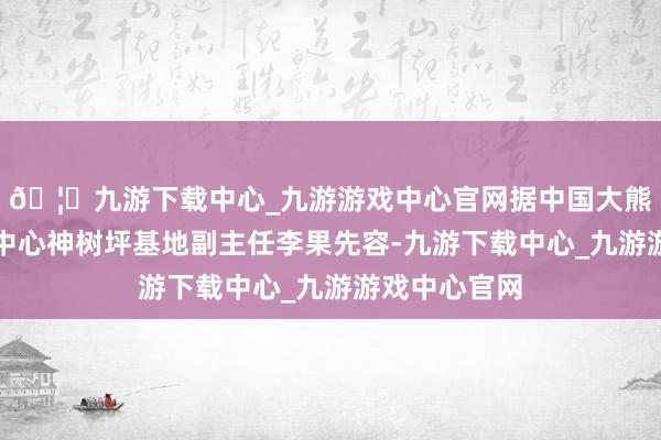 🦄九游下载中心_九游游戏中心官网据中国大熊猫保护探求中心神树坪基地副主任李果先容-九游下载中心_九游游戏中心官网