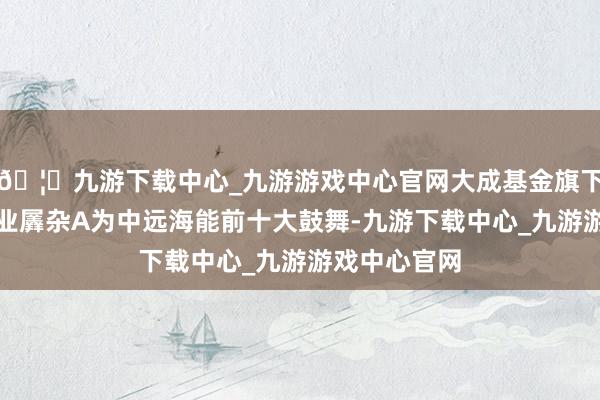 🦄九游下载中心_九游游戏中心官网大成基金旗下大成新锐产业羼杂A为中远海能前十大鼓舞-九游下载中心_九游游戏中心官网