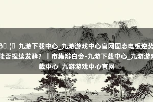 🦄九游下载中心_九游游戏中心官网固态电板逆势高潮 行情能否捏续发酵？丨市集辩白会-九游下载中心_九游游戏中心官网