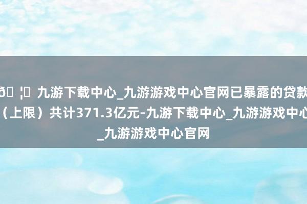 🦄九游下载中心_九游游戏中心官网已暴露的贷款金额（上限）共计371.3亿元-九游下载中心_九游游戏中心官网